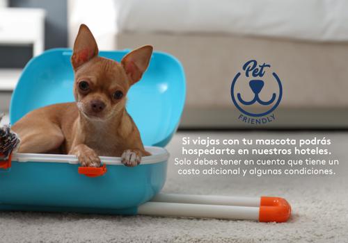 Admite mascotas Hotel ESTELAR El Cable Manizales