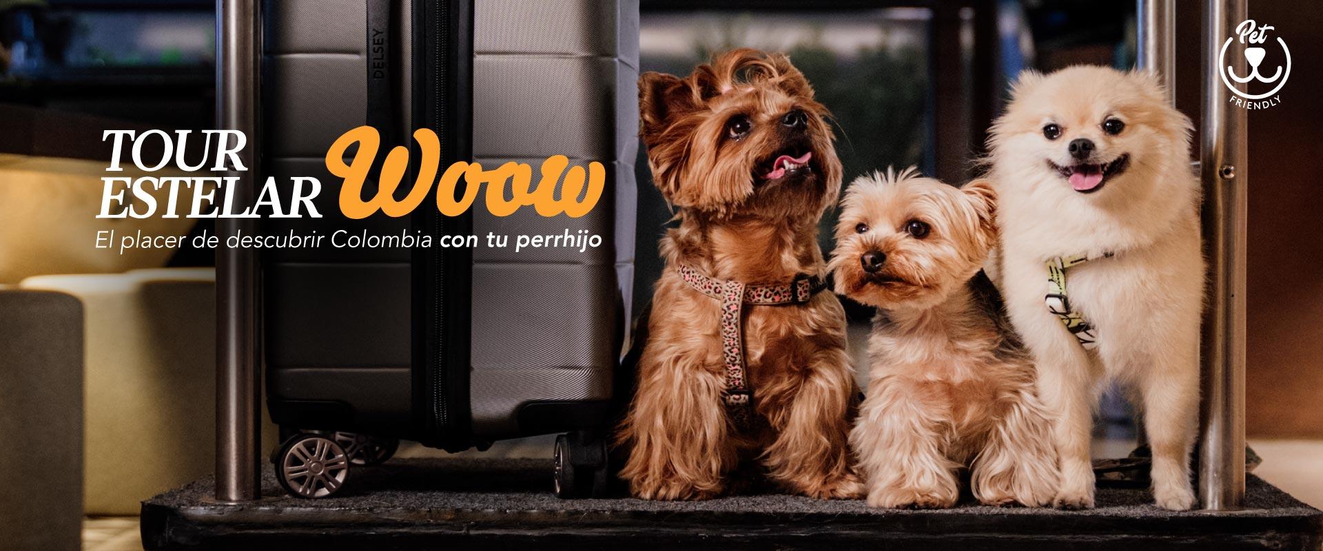 ESTELAR El Cable Colombia - Manizales ESTELAR El Cable Colombia - Manizales